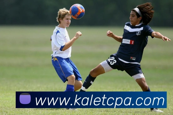 pa视讯平台生态图